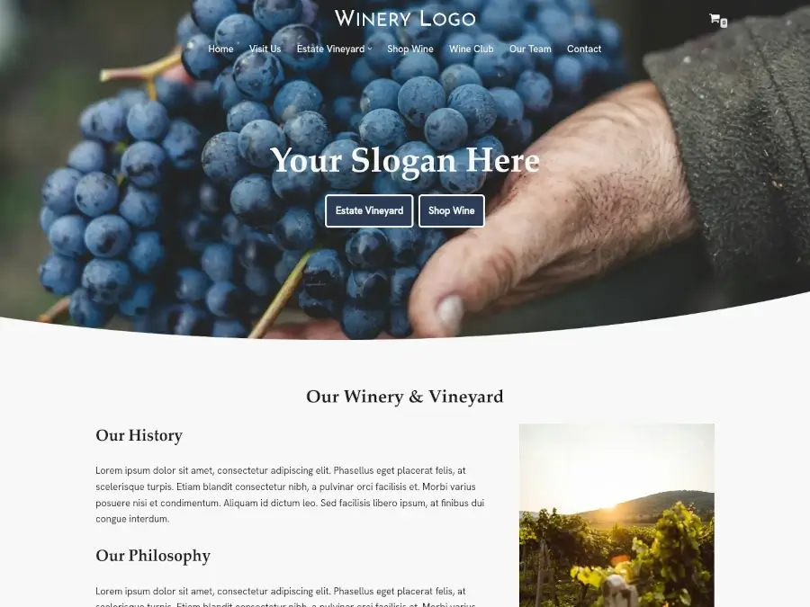Screenshot of Template 5